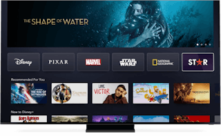 Film e spettacoli stellari su Disney+.